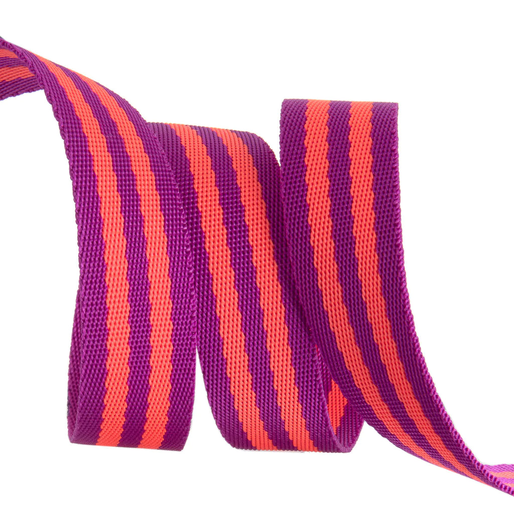 Tula Pink Webbing in Watermelon and Plum Modern Strapping