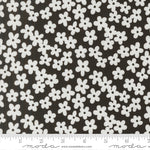 Alli K Design True to Hue Petals Black Fabric