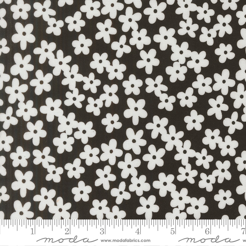Alli K Design True to Hue Petals Black Fabric