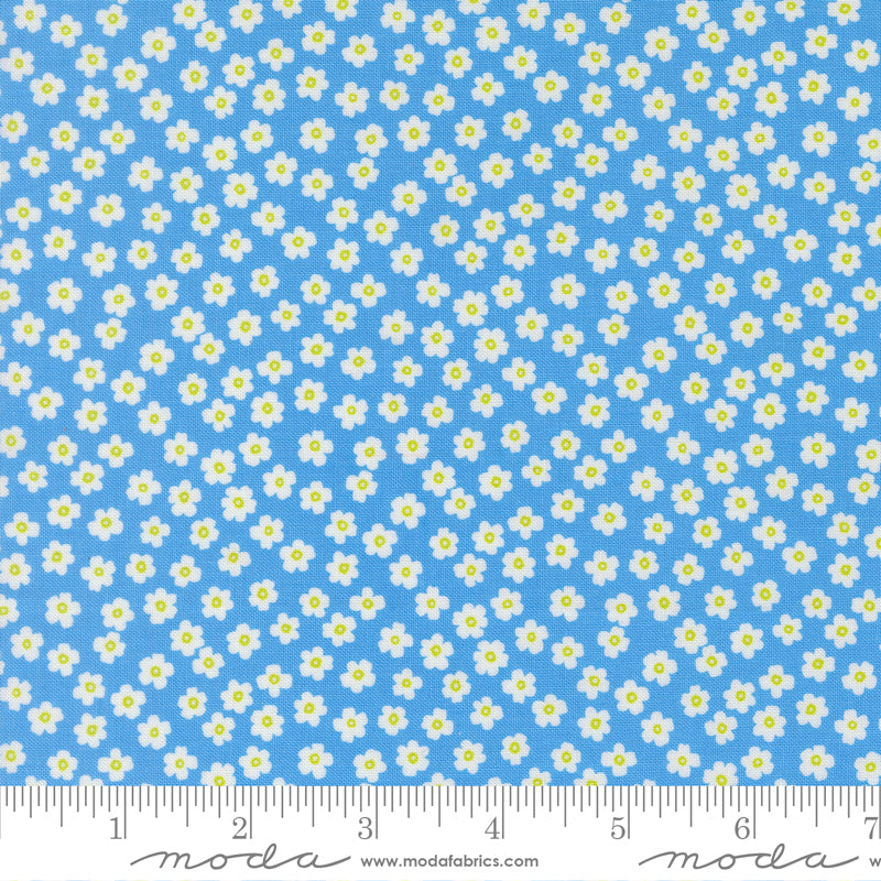 Alli K Design True to Hue Petal Power Blue My Mind Fabric