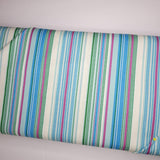 
Heather Bailey Full Bloom Emmaline Blue Stripe Fabric
