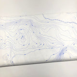 Alison Glass Sun Print Whisper Topography Pond Fabric