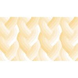 Emily Van Hoff Echo Braid Ivory Fabric