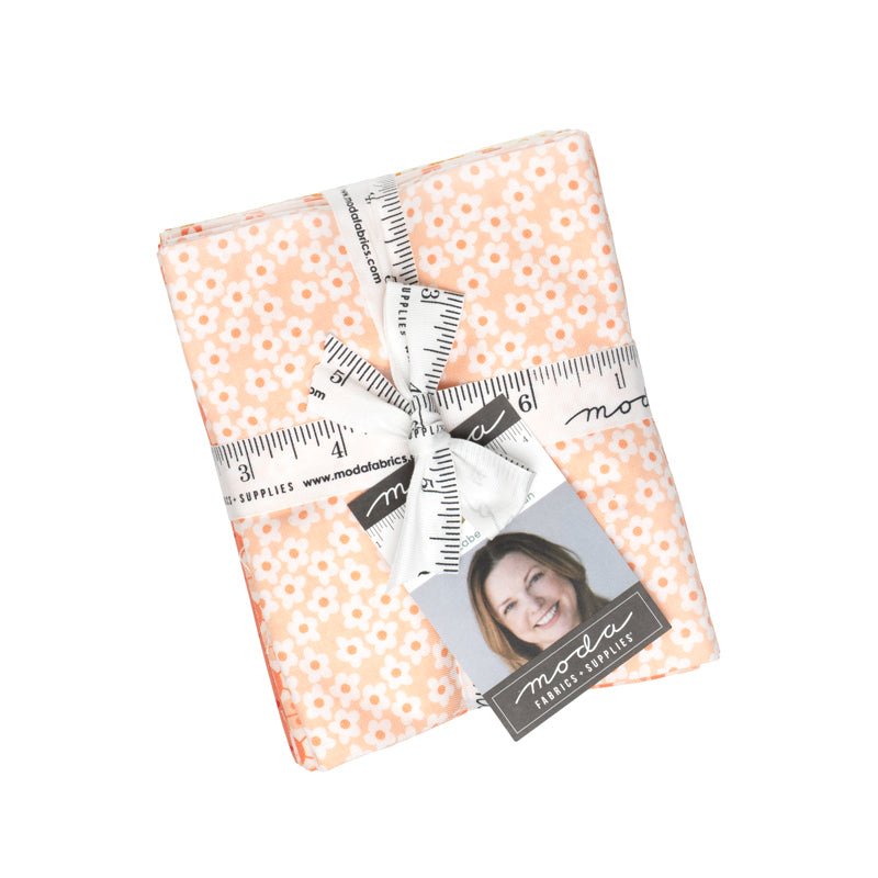 Popcorn Fabric Bundle 25 Prints by Elizabeth Hartman