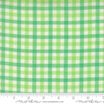 Popcorn Wovens Plaid Mint Fabric By Elizabeth Hartman