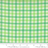 Popcorn Wovens Plaid Mint Fabric By Elizabeth Hartman