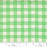 Popcorn Wovens Large Plaid Mint Fabric By Elizabeth Hartman