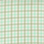 Popcorn Wovens Plaid Aqua Fabric By Elizabeth Hartman
