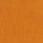 QuiltCon 2027 Challenge Carrot Cake Bellini Fabric
