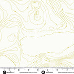 Alison Glass Sun Print Whisper Topography Chartreuse Fabric