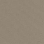 Big Sur Smoky Beige 9.6 oz Weight Canvas by Robert Kaufmann