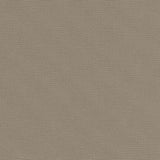 Big Sur Smoky Beige 9.6 oz Weight Canvas by Robert Kaufmann