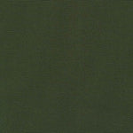 Big Sur Sea Green 9.6 oz Weight Canvas by Robert Kaufmann