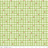 PREORDER Strawberry Shortcake Gingham Green Fabric by Riley Blake
