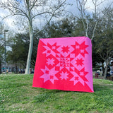 Split Personality Quilt Pattern by Tina Curtis