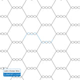 Julie's Chicken Wire Pantograph