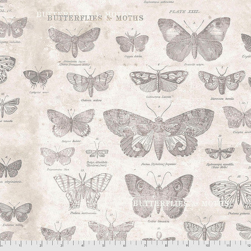 Tim Holtz Eclectic Elements Monochrome Butterflies Parchment Fabric
