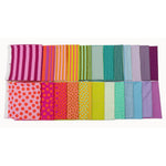 True Colors Sticks and Stones | Fabric Bundle 24 Prints | Fabric by Tula Pink