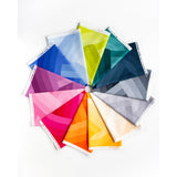 Emily Van Hoff Echo Braid Fabric Bundle 12 Colors