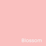 Confetti Cotton Blossom Pink Solid Fabric by Riley Blake