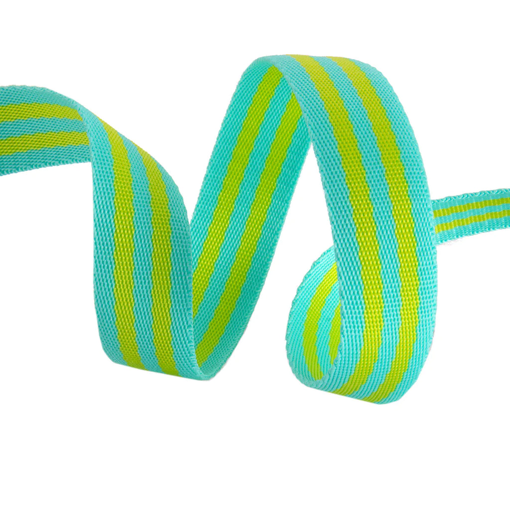 Tula Pink Webbing in Lime and Turquoise Modern 1" Strapping