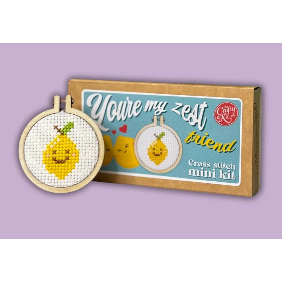 You're My Zest Friend Mini Cross Stitch Kit