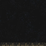 Ruby Star Society Speckled New Onyx Metallic