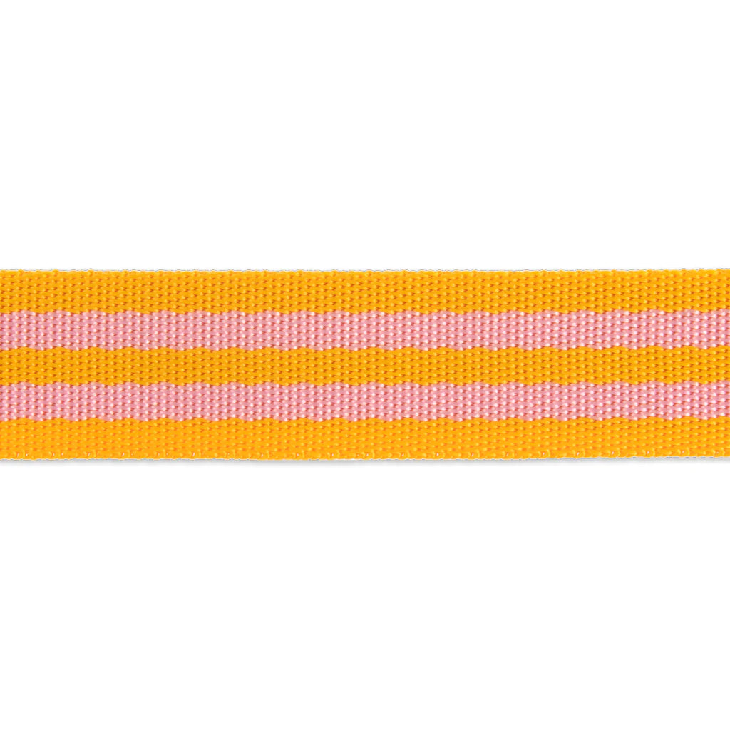 Tula Pink Webbing in Pink and Orange Modern 1" Strapping