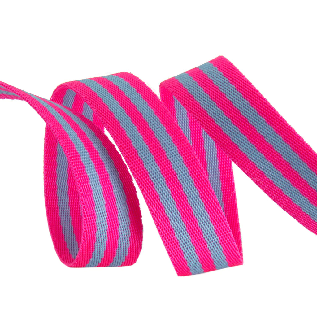 Tula Pink Webbing in Hot Pink and Aqua Modern 1" Strapping